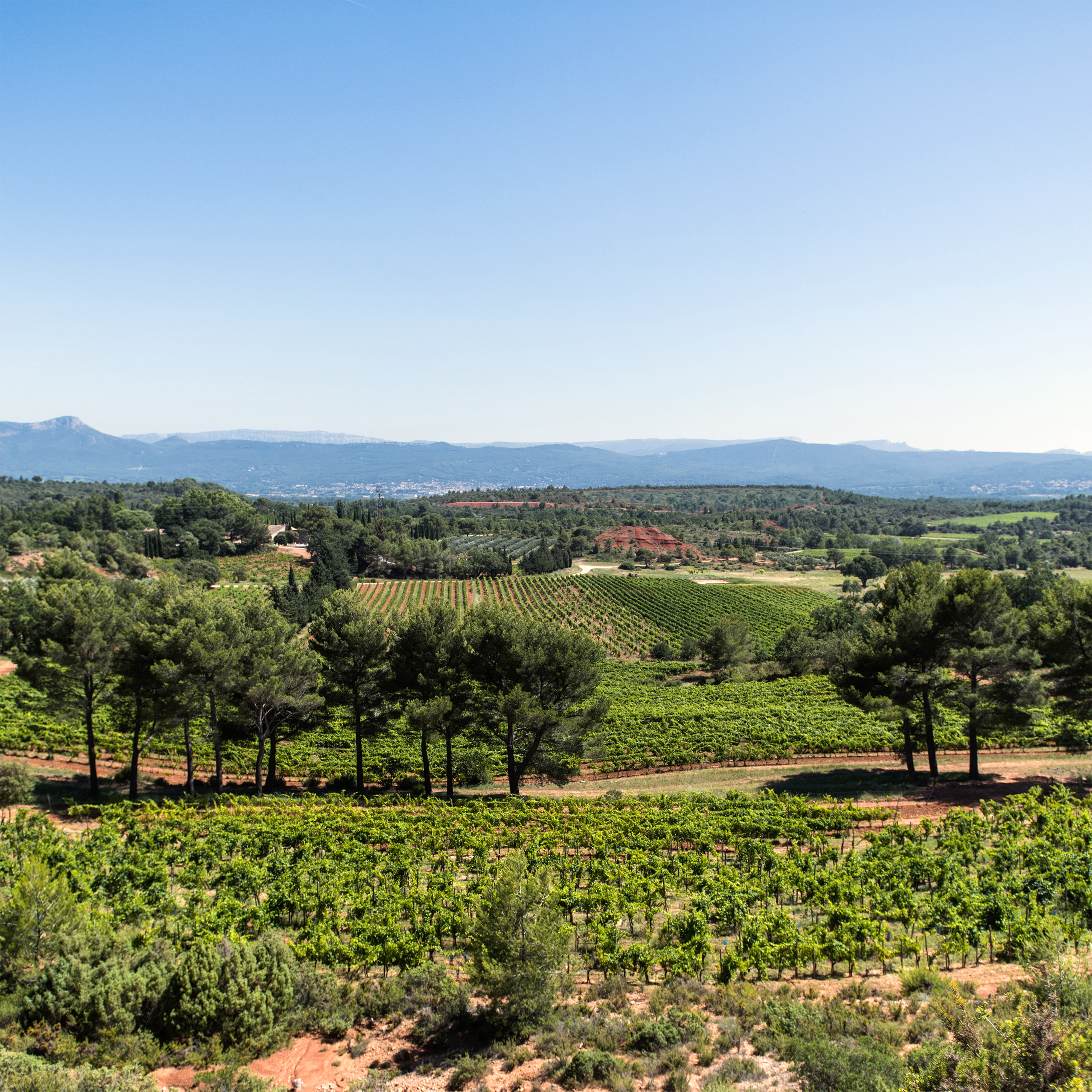 Domaine Richeaume, la Provence en poupre et en rubis